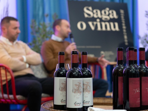 29. Sa(n)jam - 9. dan - Histrokozmos | Med i Teran, Nikola Benvenuti, Stiven Valenta © Tanja Draškić Savić