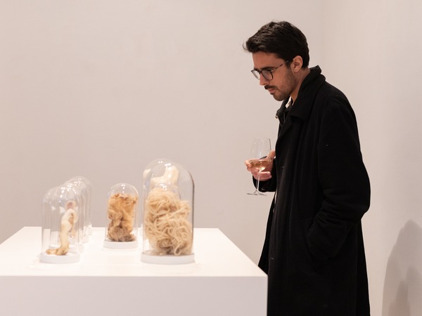 31. Sa(n)jam - 5. dan