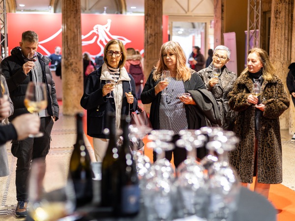 3. Histrokozmos - Saga o vinu: vinarija Baraka ©Petra Tadić